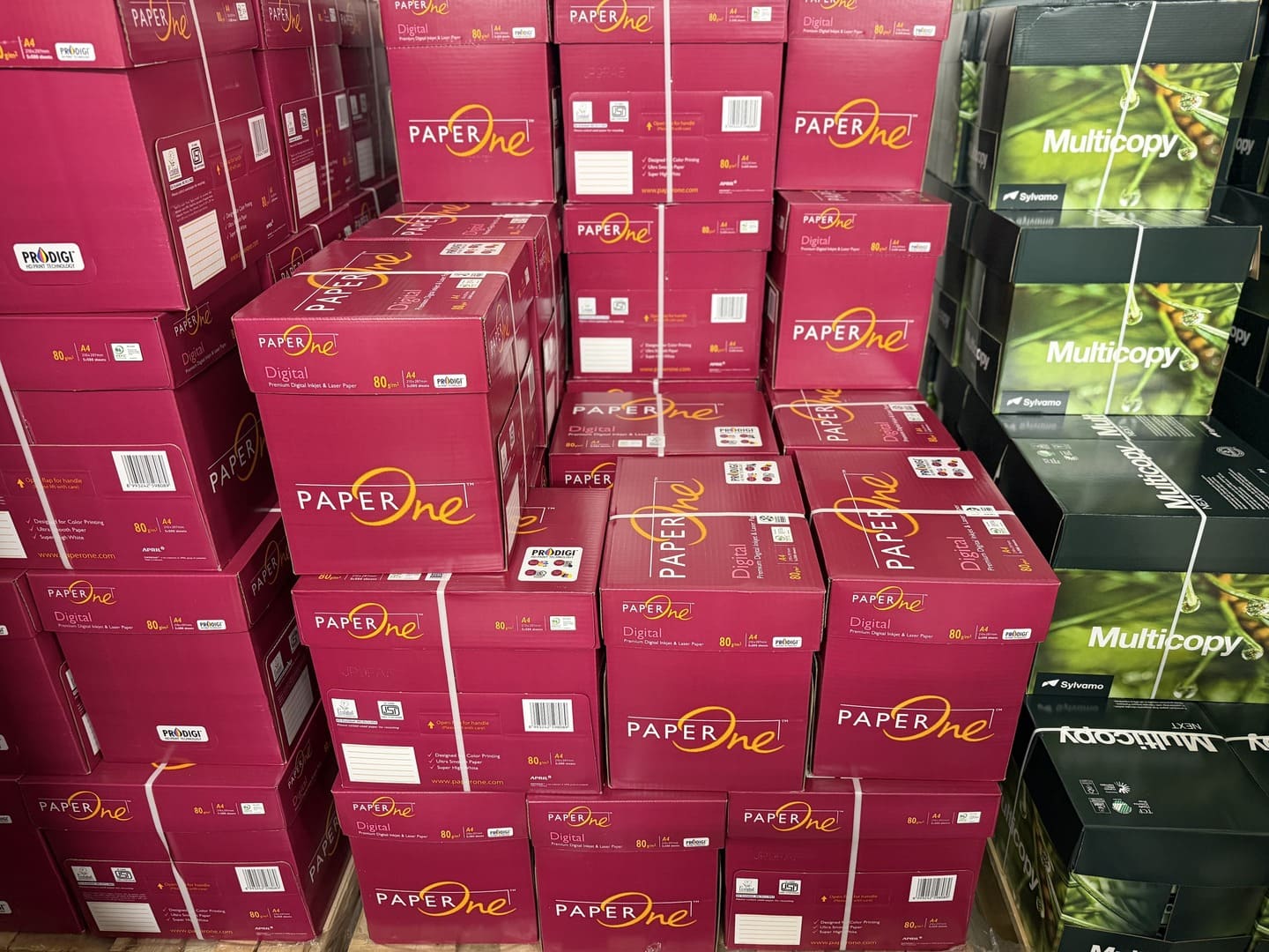 Magazzino carta Dorna Service a Mendrisio per forniture in tutto il Ticino